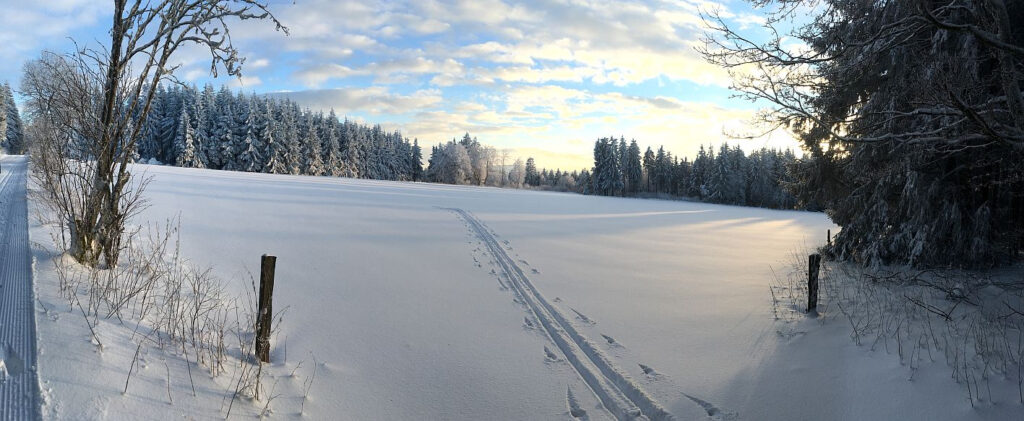 29.01. 2026 – Workshop: Skipräparation mit Albrecht Dietze von Toko